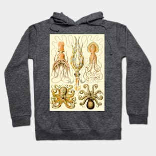 Octopus Illustration Hoodie